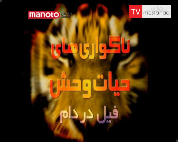 دانلود مستند برق گرفتگی فیل از مجموعه ناگواری های حیات وحش دانلود مستند برق گرفتگی فیل از مجموعه ناگواری های حیات وحش