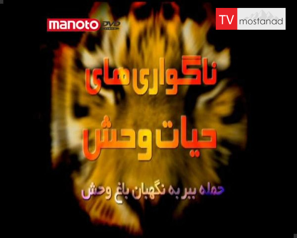 دانلود مستند حمله ی ببر به نگهبان از مجموعه ناگواری های حیات وحش دانلود مستند حمله ی ببر به نگهبان از مجموعه ناگواری های حیات وحش