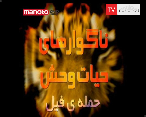 دانلود مستند حمله فیل از مجموعه ناگواری های حیات وحش دانلود مستند حمله فیل از مجموعه ناگواری های حیات وحش