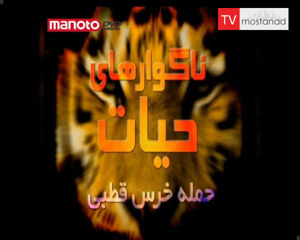 دانلود مستند حمله ی خرس قطبی از مجموعه ناگواری های حیات وحش دانلود مستند حمله ی خرس قطبی از مجموعه ناگواری های حیات وحش