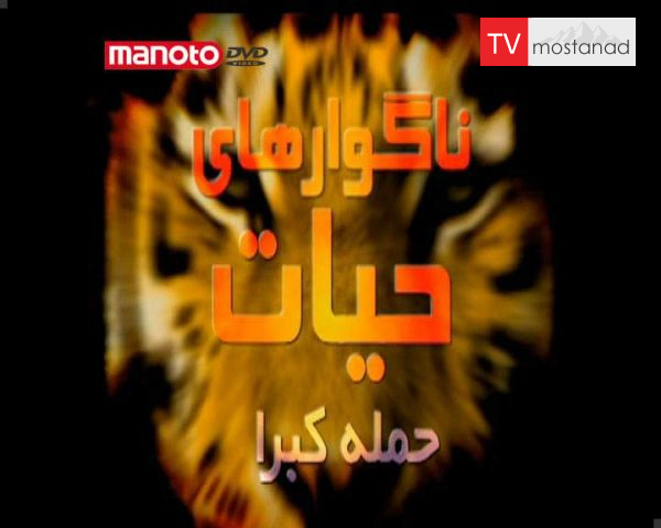 دانلود مستند حمله کبری از مجموعه ناگواری های حیات وحش دانلود مستند حمله کبری از مجموعه ناگواری های حیات وحش