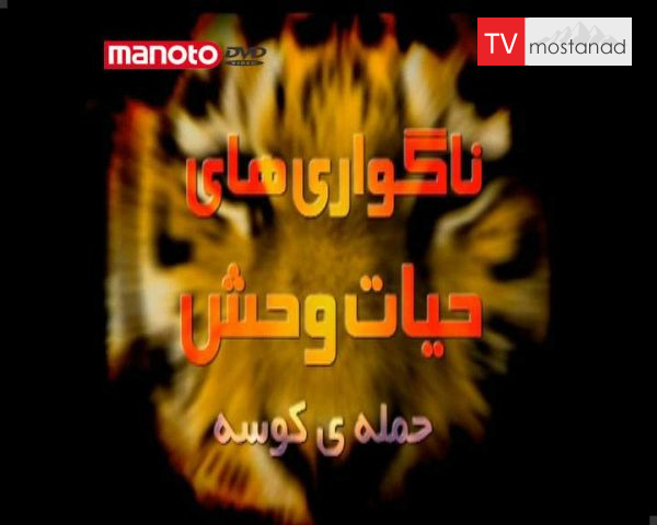 دانلود مستند حمله کوسه در بند از مجموعه ناگواری های حیات وحش دانلود مستند حمله کوسه در بند از مجموعه ناگواری های حیات وحش