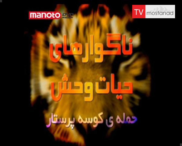 دانلود مستند حمله کوسه پرستار از مجموعه ناگواری های حیات وحش دانلود مستند حمله کوسه پرستار از مجموعه ناگواری های حیات وحش