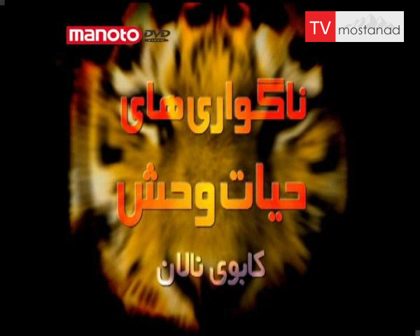 دانلود مستند کابوی نالان از مجموعه ناگواری های حیات وحش دانلود مستند کابوی نالان از مجموعه ناگواری های حیات وحش