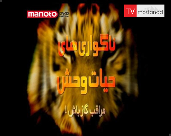 دانلود مستند مراقب گازش باش از مجموعه ناگواری های حیات وحش دانلود مستند مراقب گازش باش از مجموعه ناگواری های حیات وحش