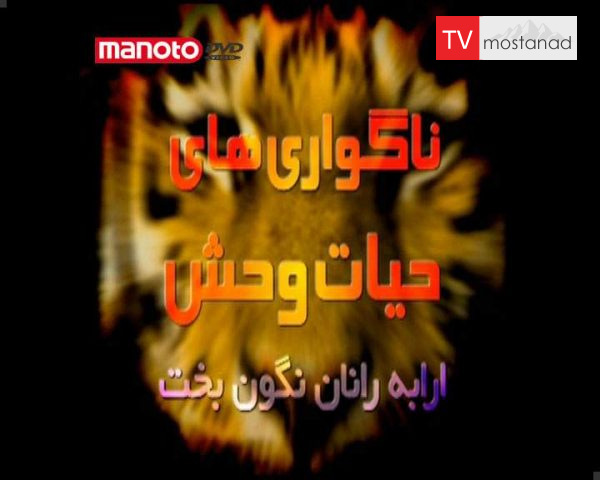 دانلود مستند ارابه رانان نگون بخت از مجموعه ناگواری های حیات وحش دانلود مستند ارابه رانان نگون بخت از مجموعه ناگواری های حیات وحش