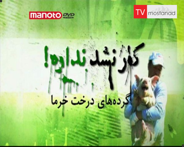 دانلود مستند گَردههای درخت خرما از مجموعه کار نشد نداره! دانلود مستند گَردههای درخت خرما از مجموعه کار نشد نداره!