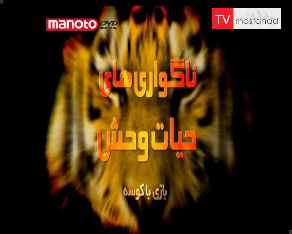 دانلود مستند بازی با کوسه از مجموعه ناگواری های حیات وحش دانلود مستند بازی با کوسه از مجموعه ناگواری های حیات وحش