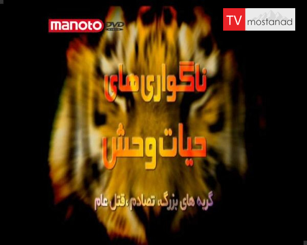 دانلود مستند گربه های بزرگ از مجموعه ناگواری های حیات وحش دانلود مستند گربه های بزرگ از مجموعه ناگواری های حیات وحش