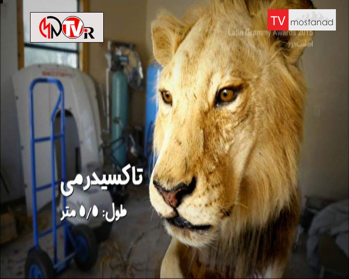 دانلود مستند جابهجا کنندگان – 25 از مجموعه جابهجا کنندگان دانلود مستند جابهجا کنندگان - 25 از مجموعه جابهجا کنندگان