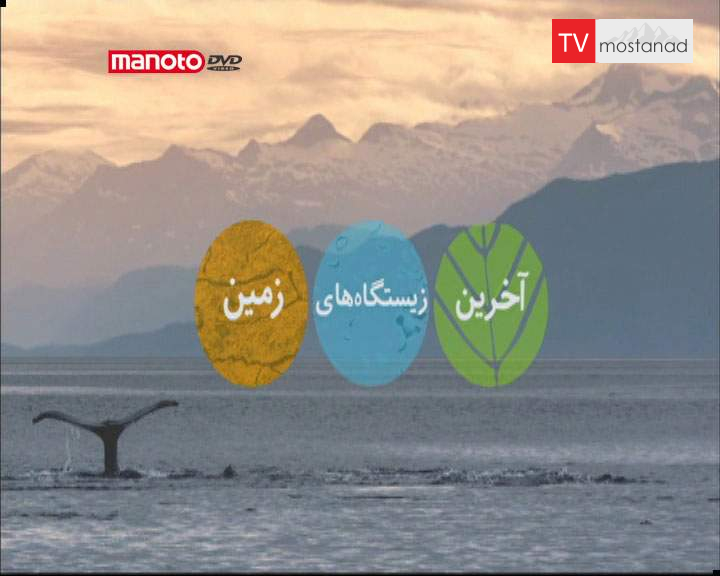 دانلود مستند دریا در مخاطره از مجموعه آخرین زیستگاههای زمین دانلود مستند دریا در مخاطره از مجموعه آخرین زیستگاههای زمین