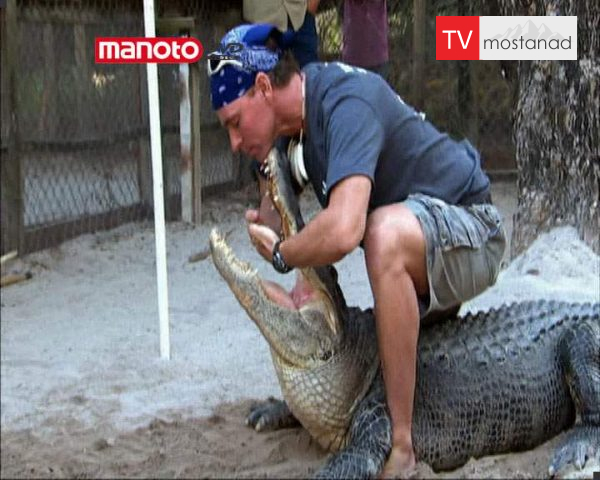 دانلود مستند باتلاق ها از مجموعه شگفتی های دنیای امروزی دانلود مستند باتلاق ها از مجموعه شگفتی های دنیای امروزی