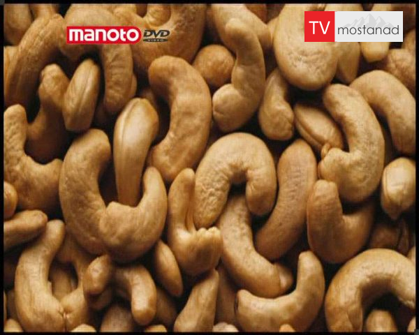 دانلود مستند آجیل از مجموعه شگفتی های دنیای امروزی دانلود مستند آجیل از مجموعه شگفتی های دنیای امروزی