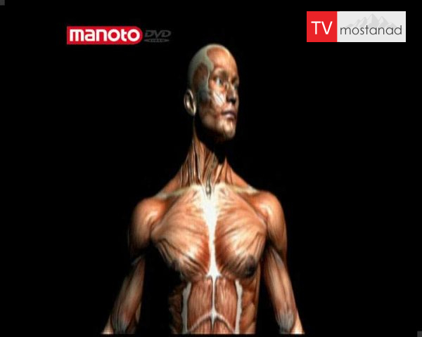 دانلود مستند انسان های خارق العاده از مجموعه شگفتی های دنیای امروزی دانلود مستند انسان های خارق العاده از مجموعه شگفتی های دنیای امروزی