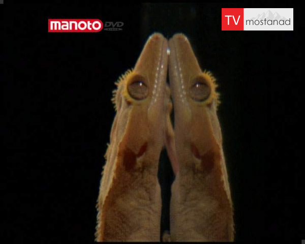 دانلود مستند چسبندگی از مجموعه شگفتی های دنیای امروزی دانلود مستند چسبندگی از مجموعه شگفتی های دنیای امروزی