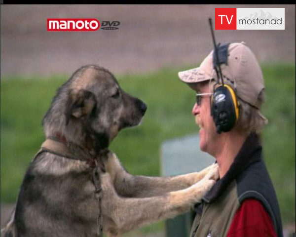 دانلود مستند ما و سگ ها از مجموعه شگفتی های دنیای امروزی دانلود مستند ما و سگ ها از مجموعه شگفتی های دنیای امروزی