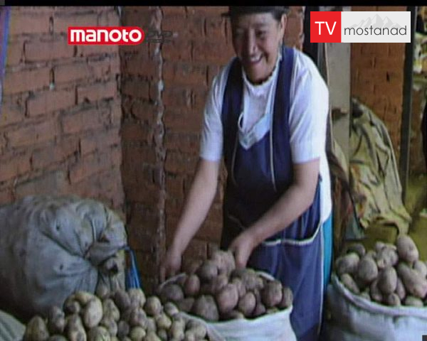 دانلود مستند سیب زمینی از مجموعه شگفتی های دنیای امروزی دانلود مستند سیب زمینی از مجموعه شگفتی های دنیای امروزی