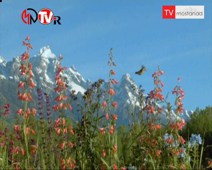 آمریکای شمالی آمریکای شمالی