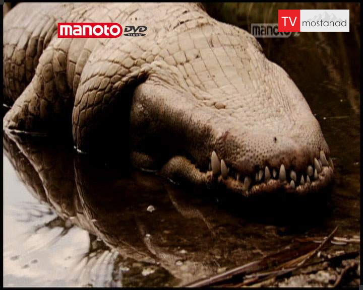 دانلود مستند راز طبیعت با دوبله فارسی شبکه منوتو دانلود مستند راز طبیعت با دوبله فارسی شبکه منوتو