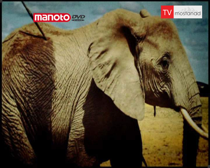 دانلود مستند راز طبیعت با دوبله فارسی شبکه منوتو دانلود مستند راز طبیعت با دوبله فارسی شبکه منوتو