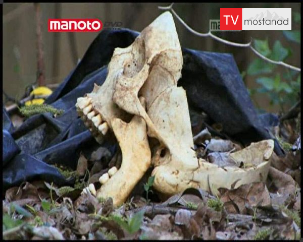 دانلود مستند زباله های زیستی از مجموعه ویرانگاه دانلود مستند زباله های زیستی از مجموعه ویرانگاه