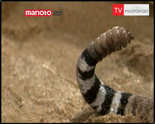 دانلود مستند مارزنگی – بولینگ از مجموعه توقف زمان دانلود مستند مارزنگی - بولینگ از مجموعه توقف زمان