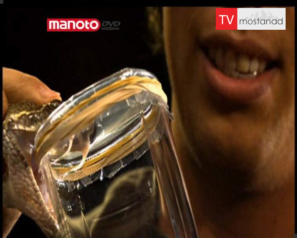 دانلود مستند مار، کشتی ژاپنی از مجموعه توقف زمان دانلود مستند مار، کشتی ژاپنی از مجموعه توقف زمان