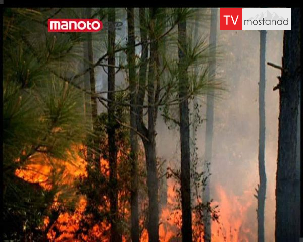 دانلود مستند آتش سوزی در جنگل از مجموعه آیا میدانستید؟ دانلود مستند آتش سوزی در جنگل از مجموعه آیا میدانستید؟