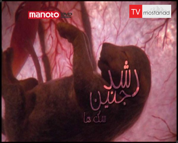 دانلود مستند سگ ها از مجموعه رشد جنین دانلود مستند سگ ها از مجموعه رشد جنین