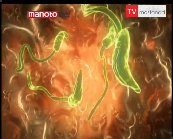 دانلود مستند در کنارِ دشمن از مجموعه مهمان ناخوانده من دانلود مستند در کنارِ دشمن از مجموعه مهمان ناخوانده من