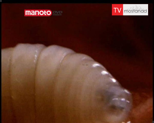 دانلود مستند قاتلان خونسرد از مجموعه مهمان ناخوانده من دانلود مستند قاتلان خونسرد از مجموعه مهمان ناخوانده من