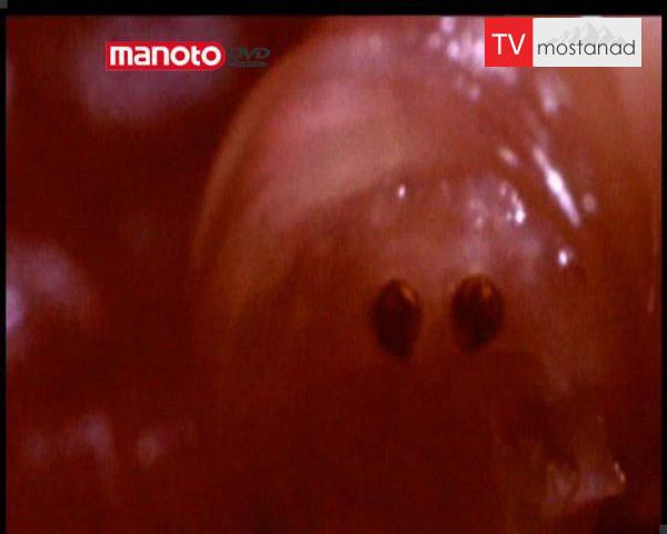 دانلود مستند جاسوس دوجانبه از مجموعه مهمان ناخوانده من دانلود مستند جاسوس دوجانبه از مجموعه مهمان ناخوانده من