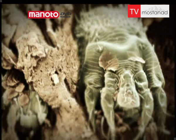 دانلود مستند جنون غذا  از مجموعه مهمان ناخوانده من دانلود مستند جنون غذا  از مجموعه مهمان ناخوانده من