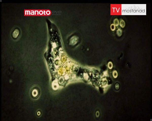 دانلود مستند راهزنان از مجموعه مهمان ناخوانده من دانلود مستند راهزنان از مجموعه مهمان ناخوانده من