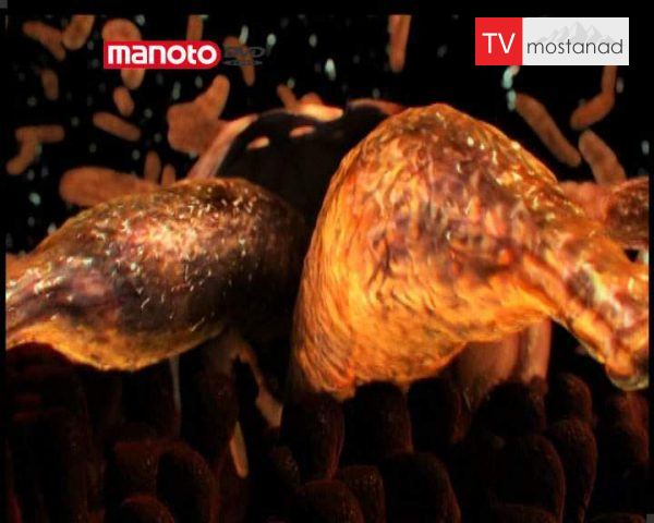 دانلود مستند تغییر شکل از مجموعه مهمان ناخوانده من دانلود مستند تغییر شکل از مجموعه مهمان ناخوانده من