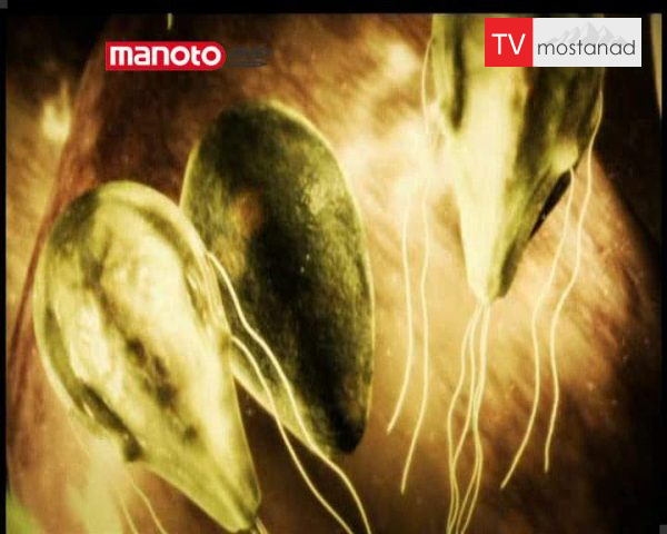 دانلود مستند زاد و ولد از مجموعه مهمان ناخوانده من دانلود مستند زاد و ولد از مجموعه مهمان ناخوانده من