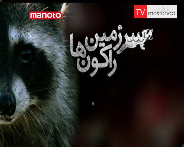 دانلود مستند سرزمین راکونها از مجموعه ویژه برنامه دانلود مستند سرزمین راکونها از مجموعه ویژه برنامه