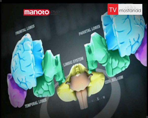 دانلود مستند مغز 1 از مجموعه ویژه برنامه دانلود مستند مغز 1 از مجموعه ویژه برنامه