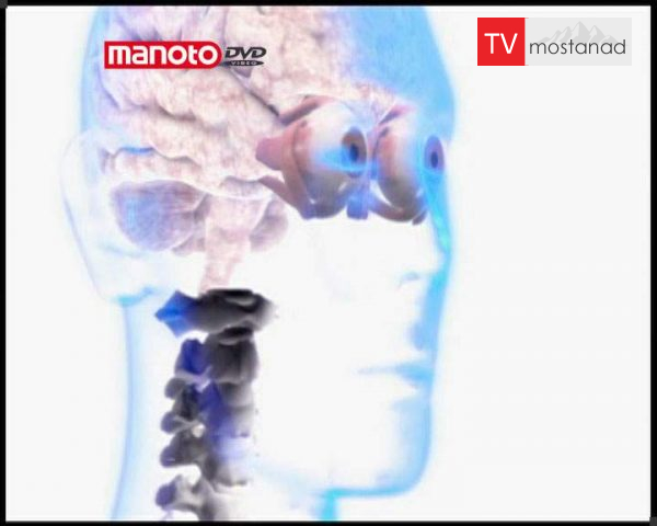 دانلود مستند سر گذشت ما – 2 از مجموعه ویژه برنامه دانلود مستند سر گذشت ما - 2 از مجموعه ویژه برنامه