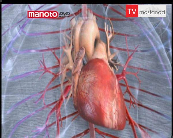 دانلود مستند کالبد ما – 2 از مجموعه ویژه برنامه دانلود مستند کالبد ما - 2 از مجموعه ویژه برنامه