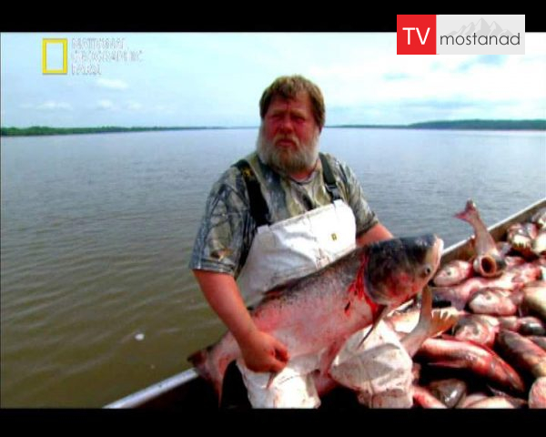 دانلود مستند تهاجم کپور آسیایی از مجموعه در دام قلاب دانلود مستند تهاجم کپور آسیایی از مجموعه در دام قلاب
