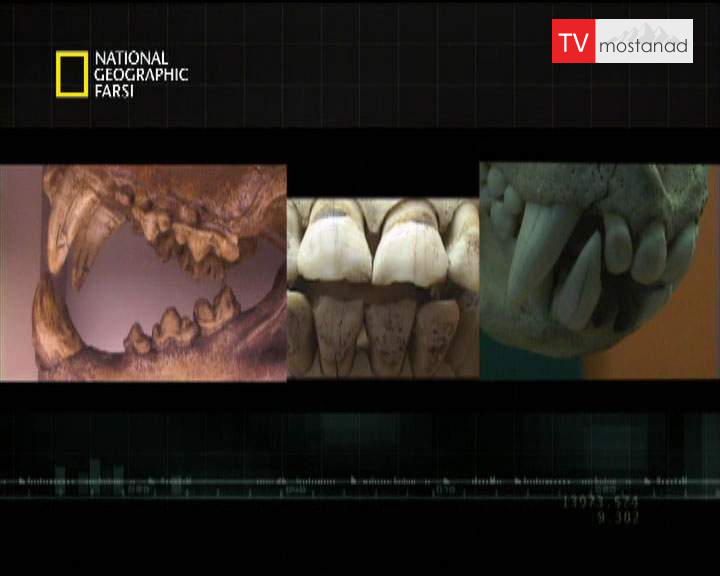 دانلود مستند آرواره ها از مجموعه قاتلین بالفطره دانلود مستند آرواره ها از مجموعه قاتلین بالفطره