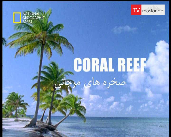 دانلود مستند صخره های مرجانی از مجموعه قاتلین بالفطره دانلود مستند صخره های مرجانی از مجموعه قاتلین بالفطره