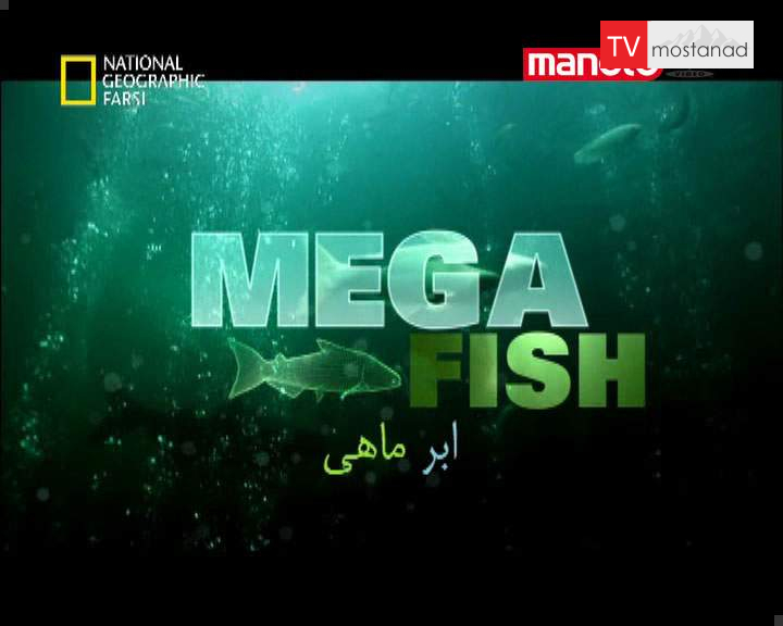 دانلود مستند ابر ماهی از مجموعه حیات وحش دانلود مستند ابر ماهی از مجموعه حیات وحش
