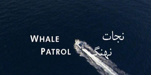 دانلود مستند نجات نهنگ از مجموعه حیات وحش