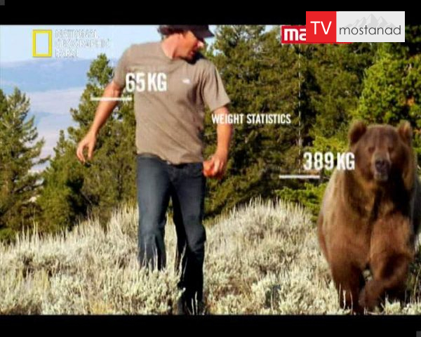 دانلود مستند پروژه کودیاک از مجموعه حیات وحش دانلود مستند پروژه کودیاک از مجموعه حیات وحش