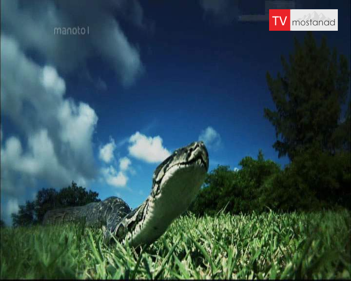 دانلود مستند قاتل در صندوق پست از مجموعه کشیک باتلاق دانلود مستند قاتل در صندوق پست از مجموعه کشیک باتلاق