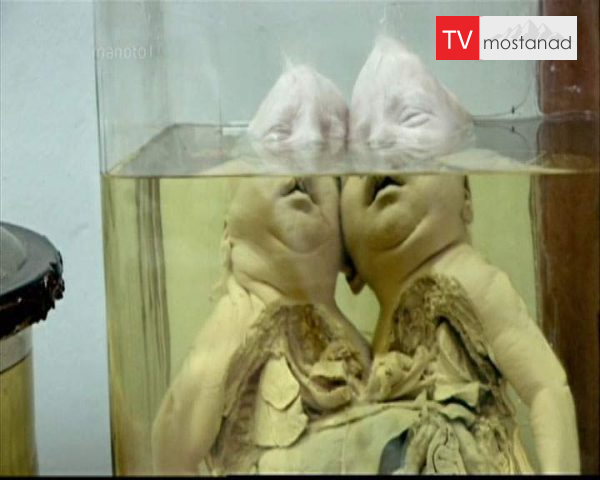 دانلود مستند ردپای فاجعه از مجموعه ویژه برنامه دانلود مستند ردپای فاجعه از مجموعه ویژه برنامه