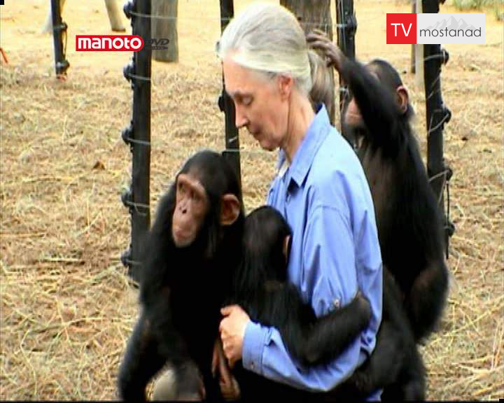 دانلود مستند انسان و حیوانات از مجموعه رمزگشایی تاریخ بشریت دانلود مستند انسان و حیوانات از مجموعه رمزگشایی تاریخ بشریت