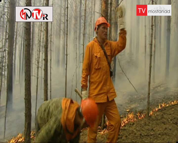 دانلود مستند سخت ترین شغل های جهان – 8 از مجموعه سخت ترین شغل های جهان دانلود مستند سخت ترین شغل های جهان - 8 از مجموعه سخت ترین شغل های جهان